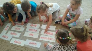 większy obrazek nr 7