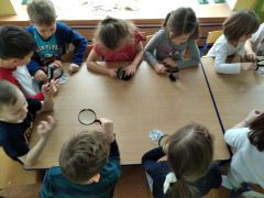 większy obrazek nr 3