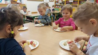 większy obrazek nr 3