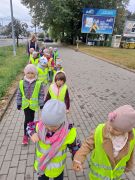 większy obrazek nr 5