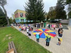 większy obrazek nr 2