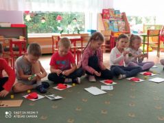 otwiera większy obrazek nr 5 w nowym oknie