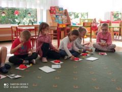 otwiera większy obrazek nr 6 w nowym oknie