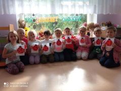 otwiera większy obrazek nr 8 w nowym oknie